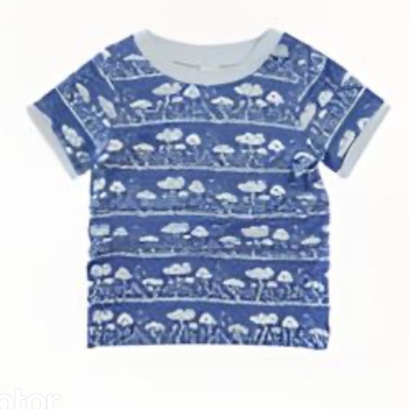 Kate Quinn short sleeve ringer tee | peri mushrooms | bamboo, Multiple Sizes - Picture 1 of 2